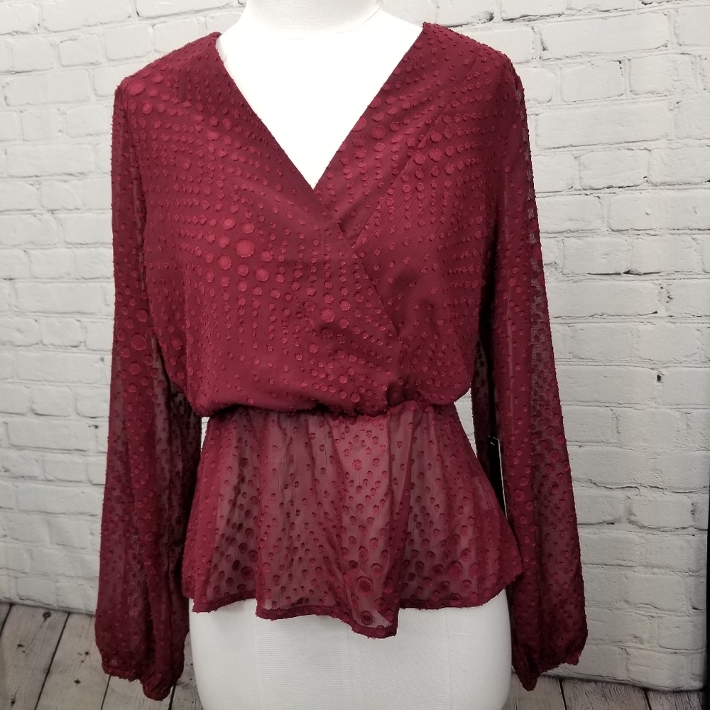 *final sale * S. C society sheer, long sleeve sz small